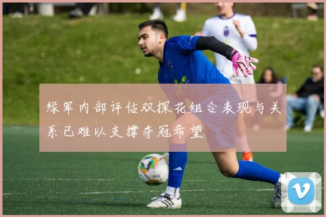绿军内部评估双探花组合表现与关系已难以支撑夺冠希望